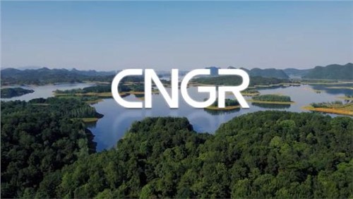 ESG | 中偉，為構(gòu)建“可充電的世界”盡責